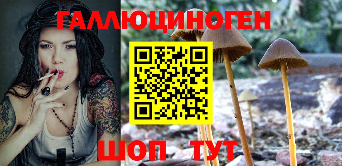 Псилоцибиновые грибы MAGIC MUSHROOMS Элиста