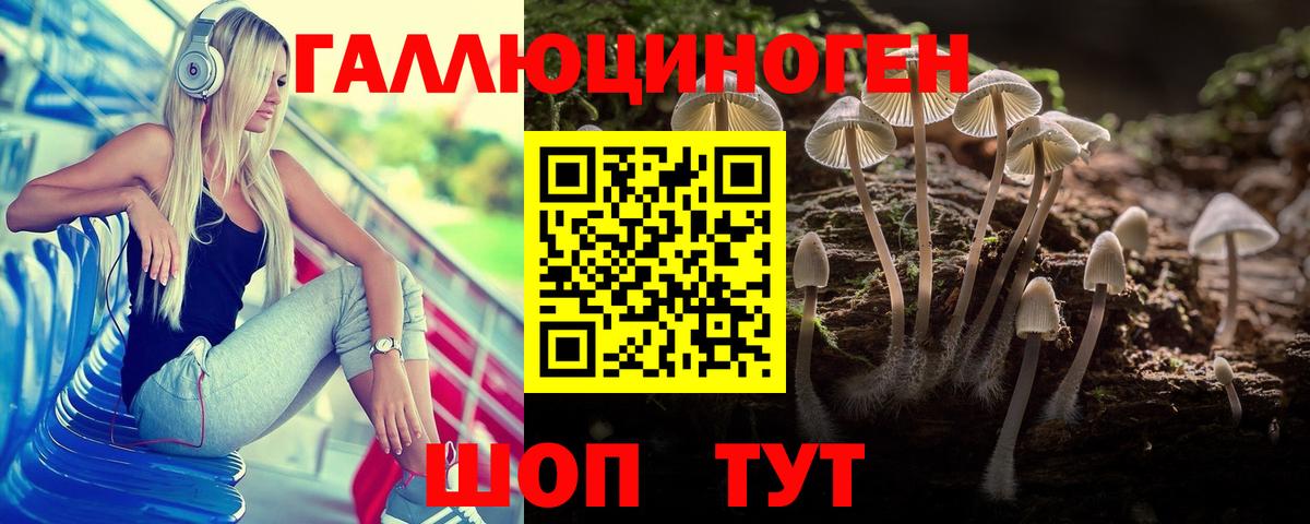 Элиста  Псилоцибиновые грибы прущие грибы  Вход с VPN 