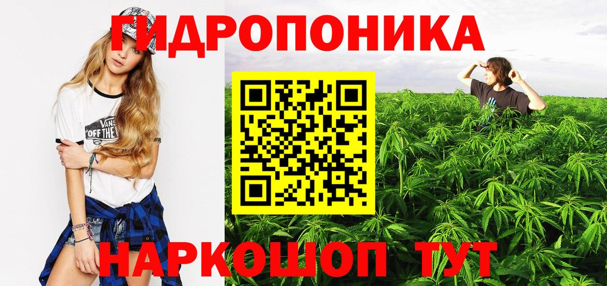 Элиста  Бошки марихуана MAZAR  Канабис MAZAR  Вход с VPN 